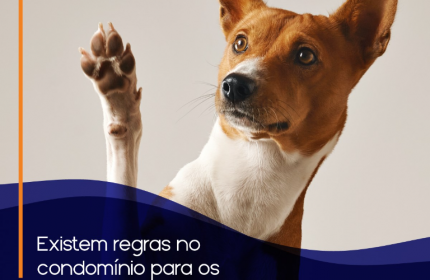 Quais as regras para animais no condomínio?