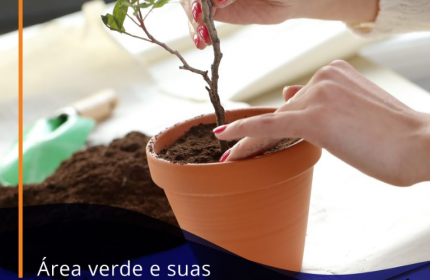 Área verde e suas vantagens!